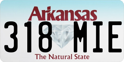 AR license plate 318MIE