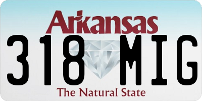 AR license plate 318MIG
