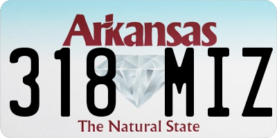 AR license plate 318MIZ