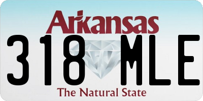AR license plate 318MLE