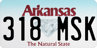 AR license plate 318MSK