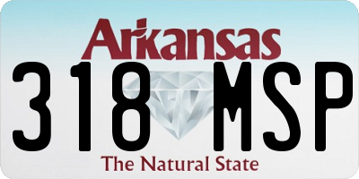 AR license plate 318MSP