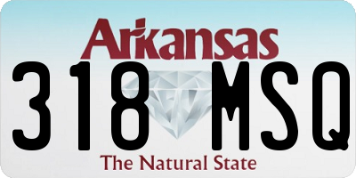 AR license plate 318MSQ