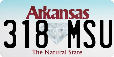 AR license plate 318MSU