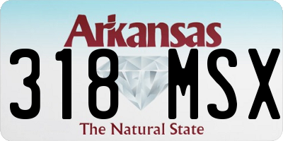 AR license plate 318MSX