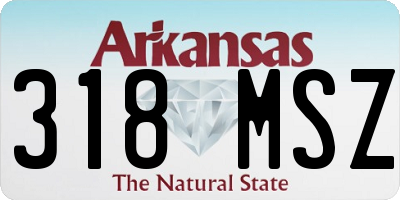 AR license plate 318MSZ