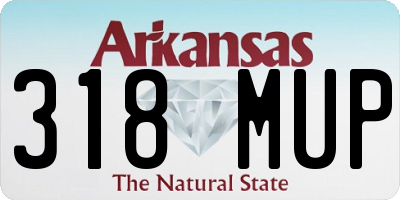 AR license plate 318MUP