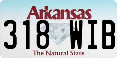AR license plate 318WIB
