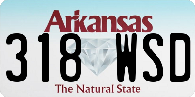 AR license plate 318WSD