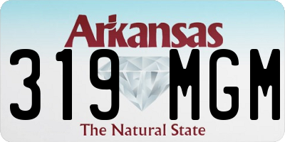 AR license plate 319MGM