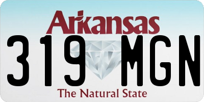 AR license plate 319MGN