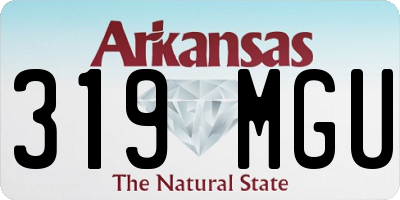 AR license plate 319MGU