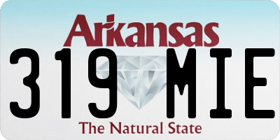 AR license plate 319MIE