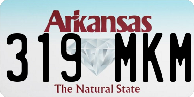 AR license plate 319MKM