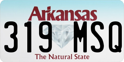 AR license plate 319MSQ