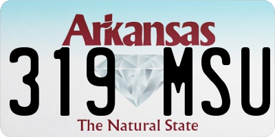 AR license plate 319MSU