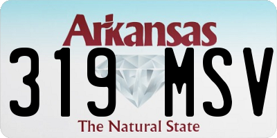 AR license plate 319MSV