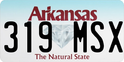 AR license plate 319MSX