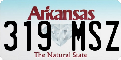 AR license plate 319MSZ