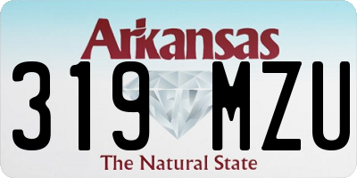 AR license plate 319MZU