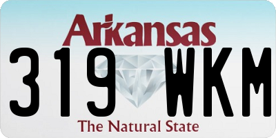 AR license plate 319WKM