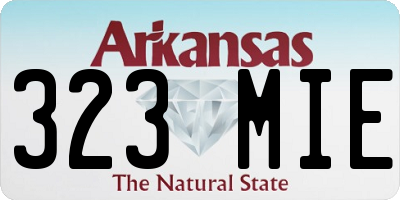 AR license plate 323MIE