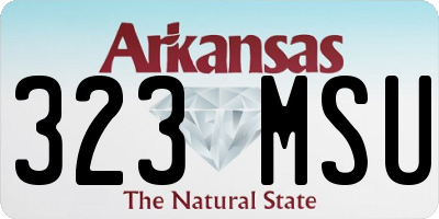 AR license plate 323MSU