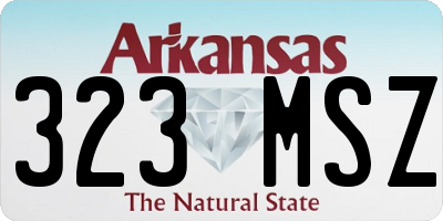 AR license plate 323MSZ