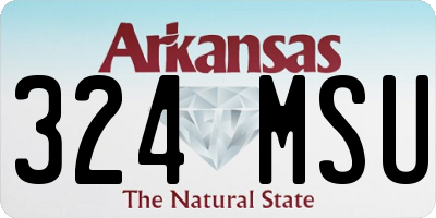 AR license plate 324MSU