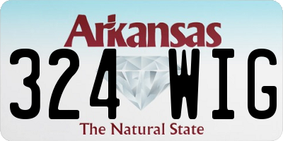 AR license plate 324WIG