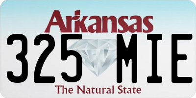 AR license plate 325MIE