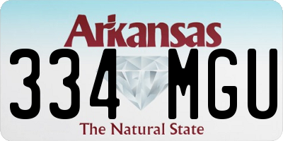 AR license plate 334MGU