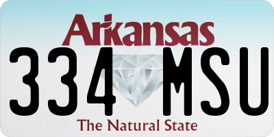 AR license plate 334MSU
