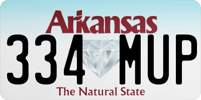 AR license plate 334MUP