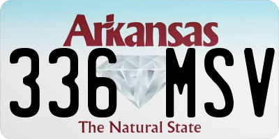 AR license plate 336MSV