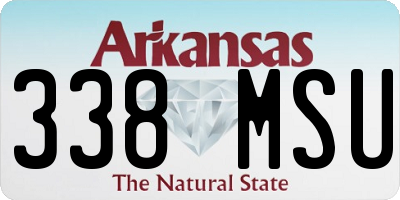 AR license plate 338MSU