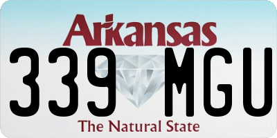 AR license plate 339MGU