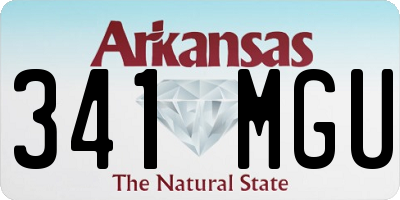 AR license plate 341MGU