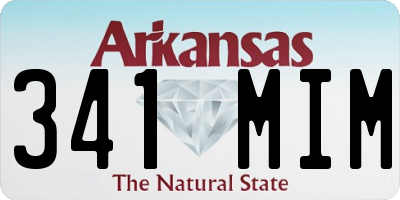 AR license plate 341MIM