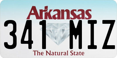AR license plate 341MIZ