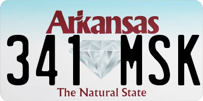 AR license plate 341MSK