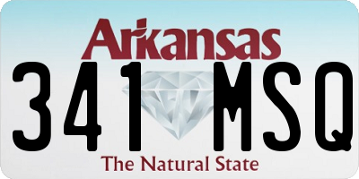 AR license plate 341MSQ