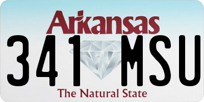 AR license plate 341MSU