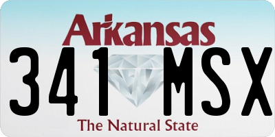 AR license plate 341MSX
