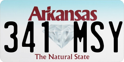 AR license plate 341MSY