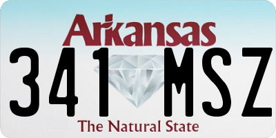 AR license plate 341MSZ