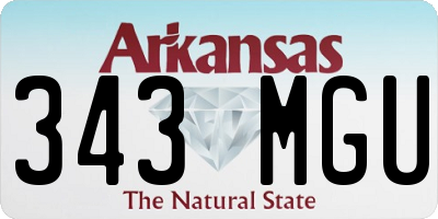 AR license plate 343MGU