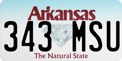 AR license plate 343MSU