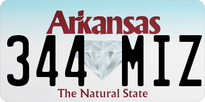 AR license plate 344MIZ