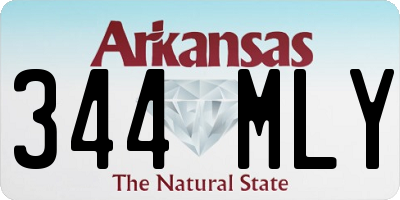 AR license plate 344MLY